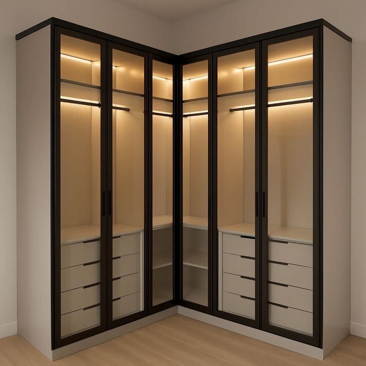 دولاب ذاوية